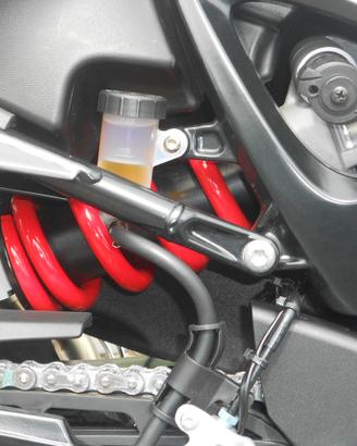 Mono Ammortizzatore Bmw F800r