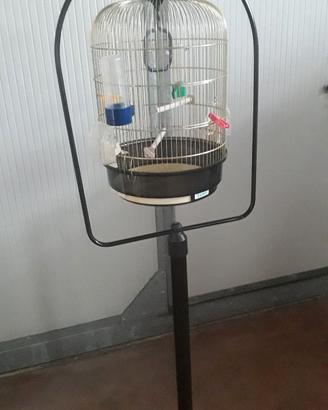 GABBIA PICCOLI UCCELLI FERPLAST REGINA