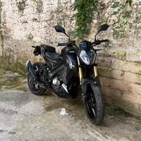 Rkf 125 2023
