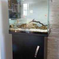Acquario 130 lt