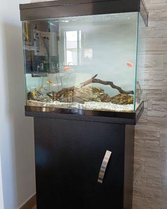 Acquario 130 lt
