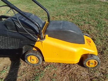tagliaerba elettrico