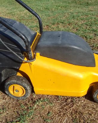 tagliaerba elettrico