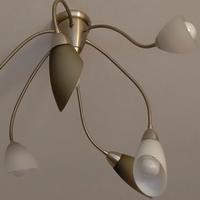 Lampadario murano poli po