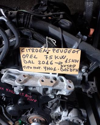 Motore Peugeot Citroen DS Opel YH01