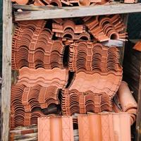 tegoli roofy e Vinci; almeno n°150