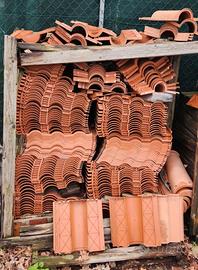 tegoli roofy e Vinci; almeno n°150