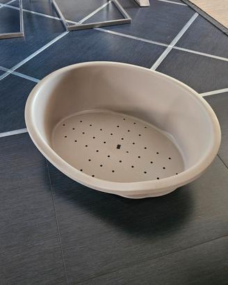 cuccia cane