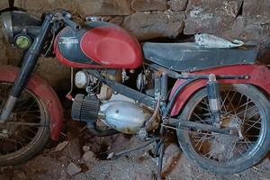 Guazzoni Grifo 125