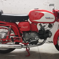 Aermacchi HD-Ala Verde da esposizione