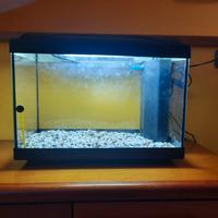 acquario 40 litri