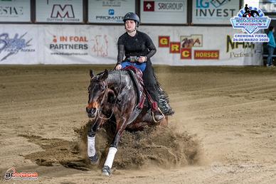 Quarter Horse