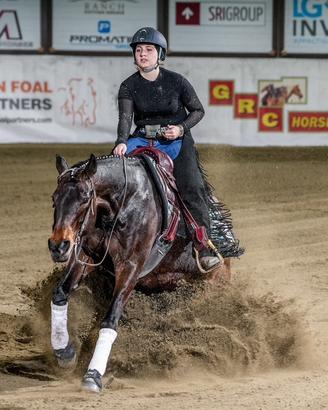 Quarter Horse