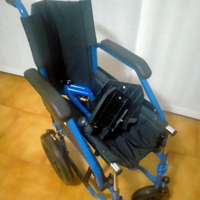 Sedia a rotelle