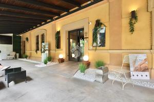 ATTIVITÀ A REGGIO NELL'EMILIA