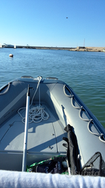 Gommone con mercury 40/60 agosto '21 140 ore moto