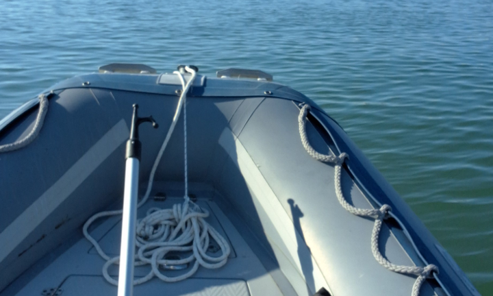 Gommone 5mt con mercury 40/60 imm. agosto '21