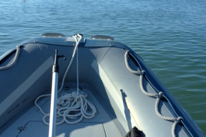 Gommone 5mt con mercury 40/60 imm. agosto '21