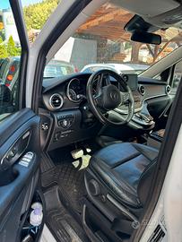 mercedes marco polo 4matic