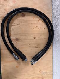 Coppia di fruste sub