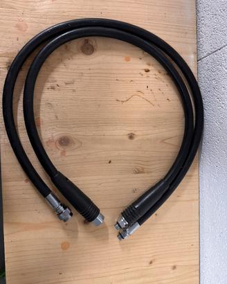 Coppia di fruste sub