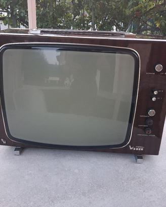 televisore Weber 