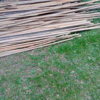 bambu 