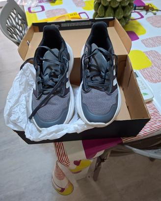 Scarpe adidas 