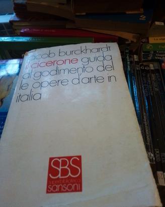 Il Cicerone guida al godimento opere italia