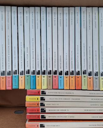 Enciclopedia Rizzoli International Library 1973