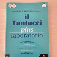 Il tantucci plus laboratorio vol. 1