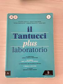 Il tantucci plus laboratorio vol. 1