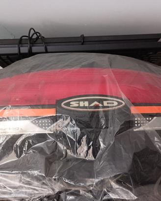 bauletto shad 