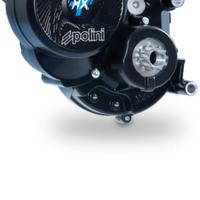 Revisione motori e bike Polini