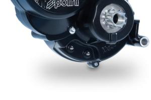 Revisione motori e bike Polini