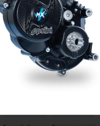 Revisione motori e bike Polini