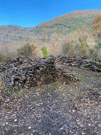 Legna di quercia stagionata