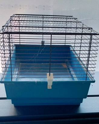 Gabbia x cricetii o piccoli roditori