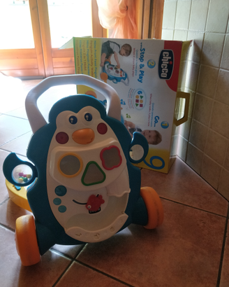 Primi passi chicco