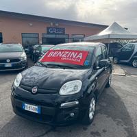 Fiat Panda 1.2 BENZ NEOPTANTATI 2016