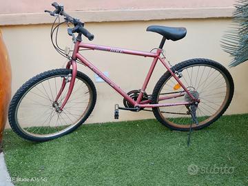 bici montabike 