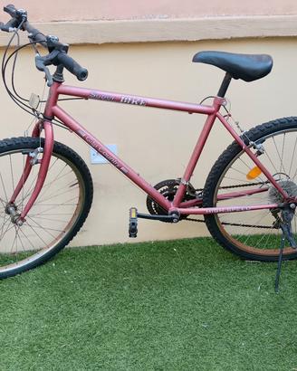 bici montabike 