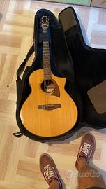 Chitarra Ibanez Acustica pre amplificata fishman