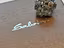 Immagine 10
