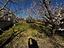 Immagine 9