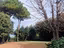 Immagine 25