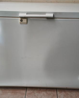 Congelatore a pozzetto REX 250Lt