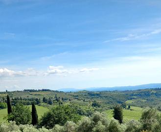 Vigneto, uliveto e annesso agricolo