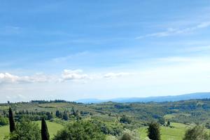 Vigneto, uliveto e annesso agricolo