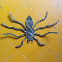 Ragni in ferro battuto